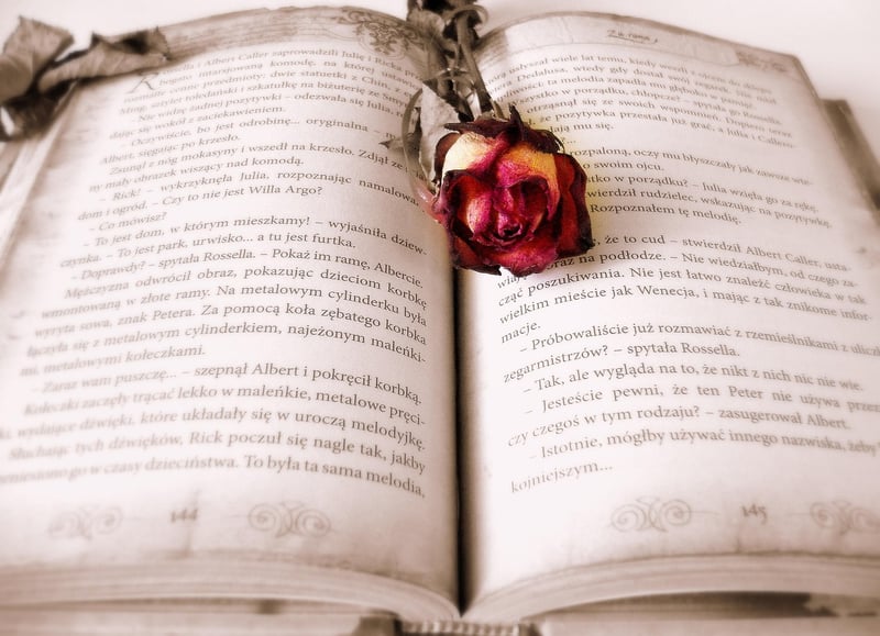 Mystery Book